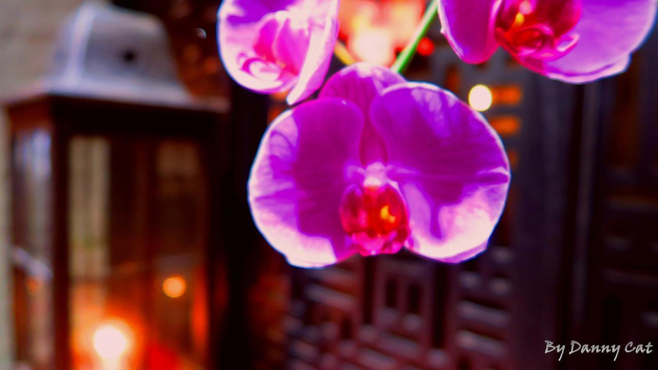 North Sea Hotel Đài Trung Ngoại thất bức ảnh