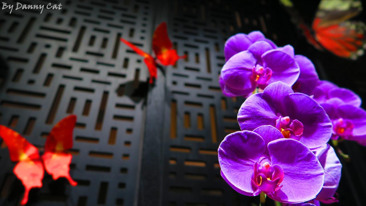 North Sea Hotel Đài Trung Ngoại thất bức ảnh